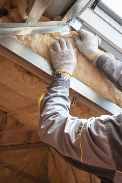 Best Basement Insulation  in Rosendale, WI