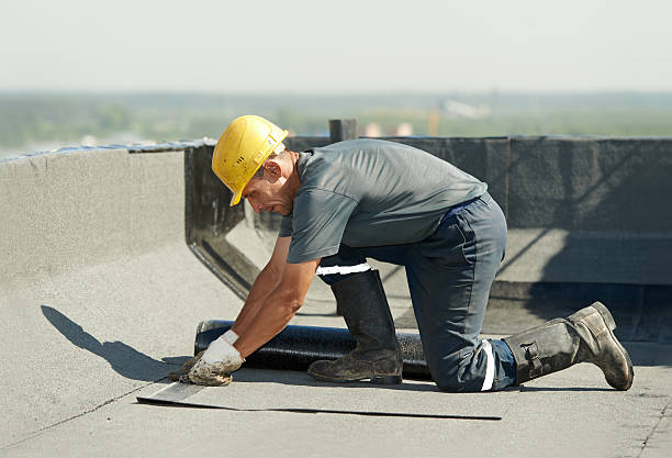 Best Attic Insulation Installation  in Rosendale, WI